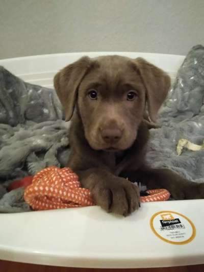 28. Handy-Fotochallenge - Damals und heute-Beitrag-Bild