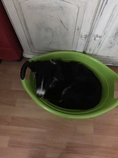 FOTO-Challenge  NR. 91: Die pure Entspannung-Beitrag-Bild