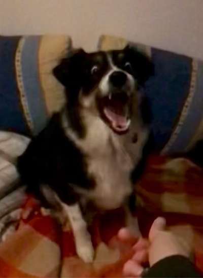 Lustige Grimassen & verrückte Posen-Beitrag-Bild