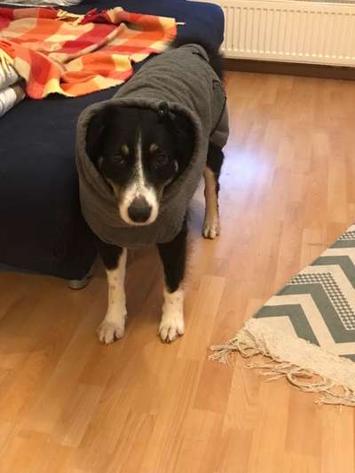 Lustige Grimassen & verrückte Posen-Beitrag-Bild