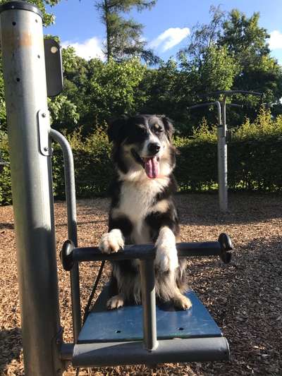 Dogorama Photo Challenge - Portrait-Beitrag-Bild