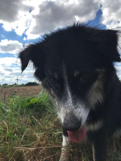 147. Foto Challenge: Bettelblick-Beitrag-Bild