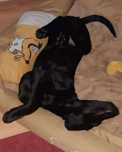 Die unbequemsten und lustigsten Schlafpositionen-Beitrag-Bild