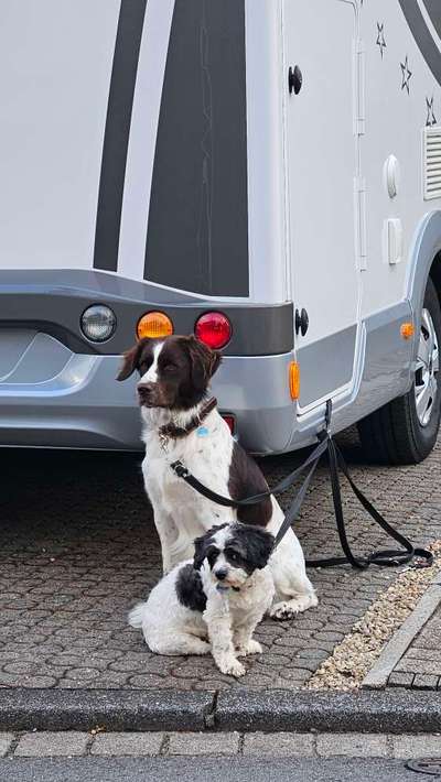 56. Handy Foto Challenge - Grosse Maschinen-Beitrag-Bild