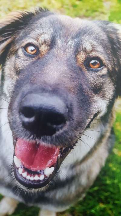 DNA-Tests-Beitrag-Bild