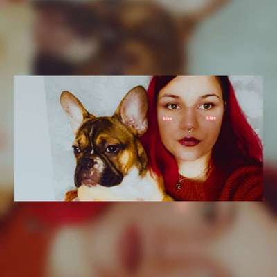 Hundetreffen-Sozialisierung-Profilbild