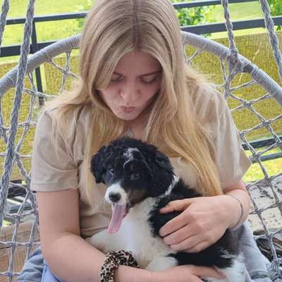 Hundetreffen-Welpentreffen-Profilbild