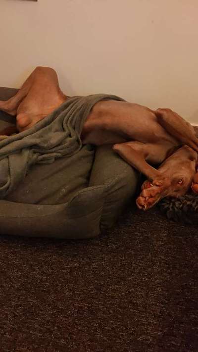 Die unbequemsten und lustigsten Schlafpositionen-Beitrag-Bild