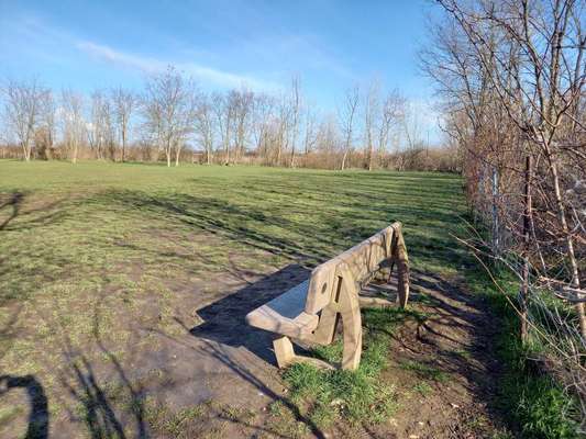 Hundeauslaufgebiet-Sterlingsweg-Bild