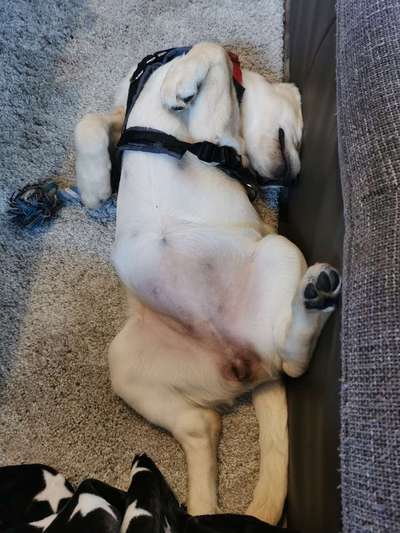 Fotochallenge Nr.65-Beitrag-Bild