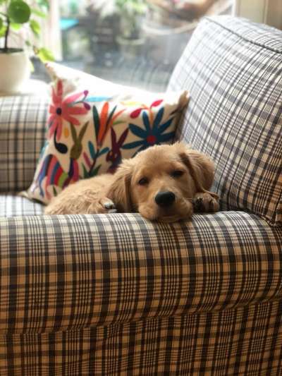 Lieblingsbild :D-Beitrag-Bild