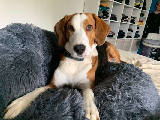 Fotochallange Nr. 57     PORTRÄT.   Beendet!!!!!!!!-Beitrag-Bild