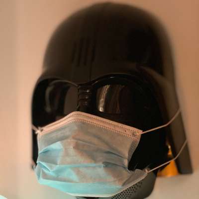 Hundetreffen-Fellnasentreff