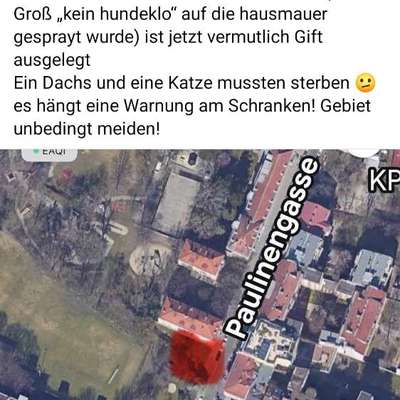 Giftköder-Vermutlich Gift gestreut-Bild