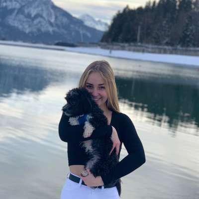 Hundetreffen-Gassi Runde kleine Hunde 🐶-Profilbild