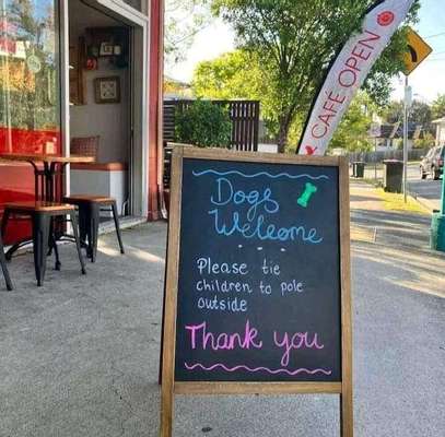 Gehören Hunde ins Restaurant?-Beitrag-Bild