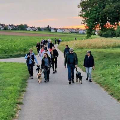 Giftköder-Social Walk-Bild