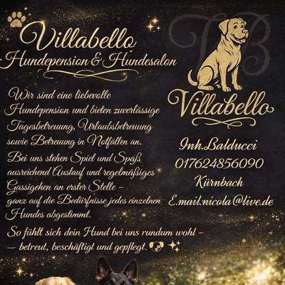 Hundepensionen-Villabello-Bild