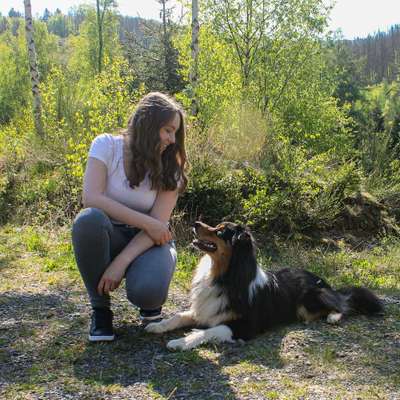 Hundetreffen-Hunde- und Menschenfreundschaft / Social Walk / etc.