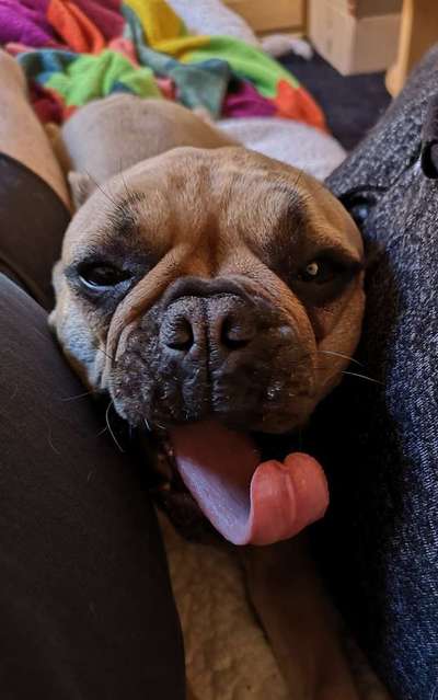 Hier ist der Spaßthread. Zum Schmunzeln und Kaputtlachen-Beitrag-Bild