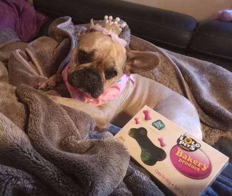 Hier ist der Spaßthread. Zum Schmunzeln und Kaputtlachen-Beitrag-Bild