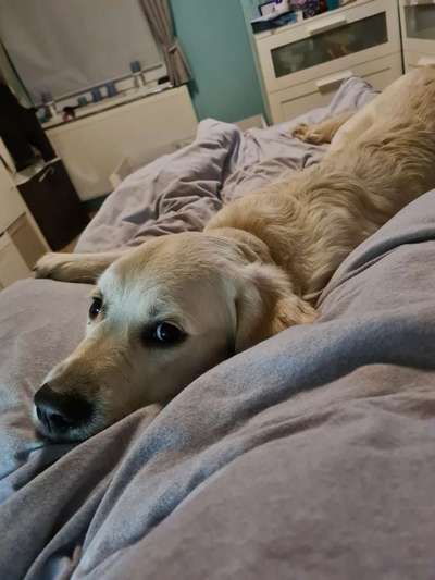 Gemeinsames Kuscheln im Bett!-Beitrag-Bild