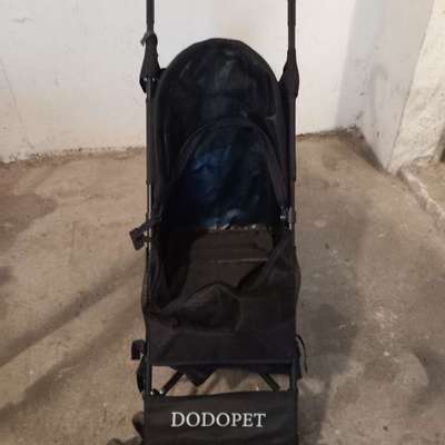 Dodopet Hundebuggy-Beitrag-Bild