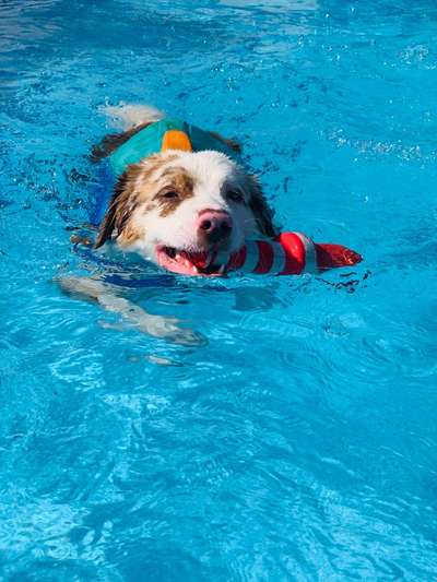 FOTOCHALLANGE NR.71 BADEFREUDE-Beitrag-Bild