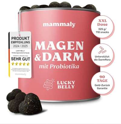 Welpe hat Magenschleimhaut entzündung-Beitrag-Bild