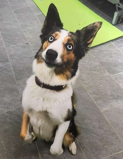 Arthrose - Präparate und Zusätze-Beitrag-Bild