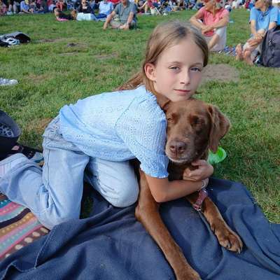 Hundetreffen-Welpen treffen am machsee-Profilbild