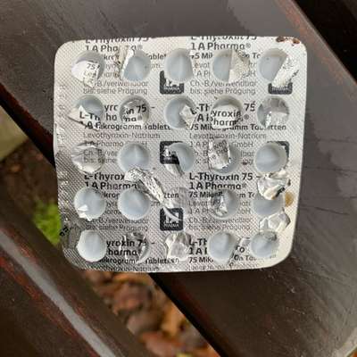 Giftköder-Leere Tablettenblister gefunden-Bild