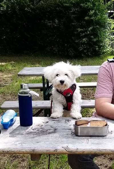 42.Fotochallenge - Eure schönen Momente beim Spaziergang-Beitrag-Bild