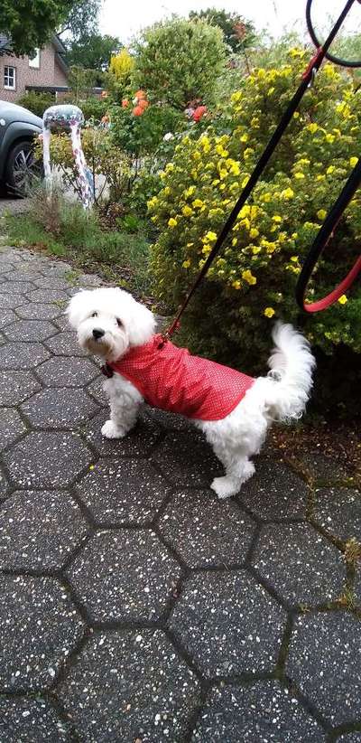 Pullis, Jacken, Hütte und alles sonstiges-Beitrag-Bild