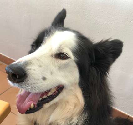 Lieblingsbild-Beitrag-Bild