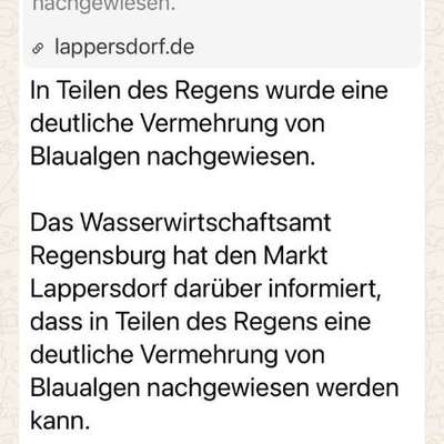 Giftköder-Blaualgen-Bild
