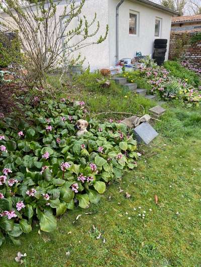 Fotochallenge No. 26                                     Wald und Wiese-Beitrag-Bild