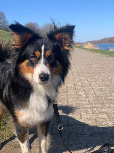 Dogorama Photo Challenge - Der Frühling kommt-Beitrag-Bild