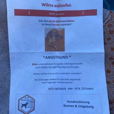 Suchmeldung-Wilma-Bild
