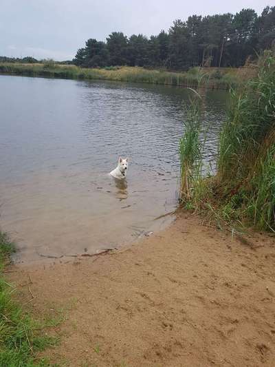 Foto Challenge - BEENDET - bitte aktuelle Challenge nutzen-Beitrag-Bild