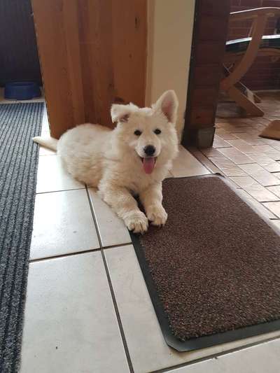 Foto Challenge 3-Beitrag-Bild