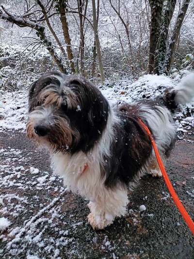 Doppelgänger gesucht !-Beitrag-Bild