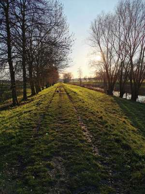 Hundeauslaufgebiet-Auslauf Glenne-Bild