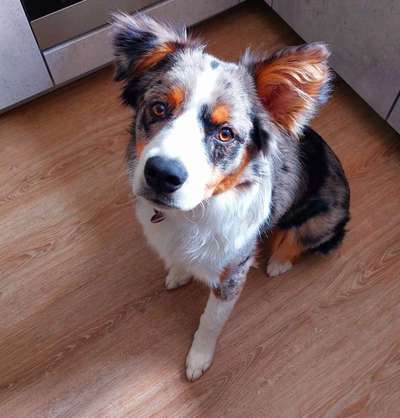 Handy-Foto Challange Nr. 10-Beitrag-Bild