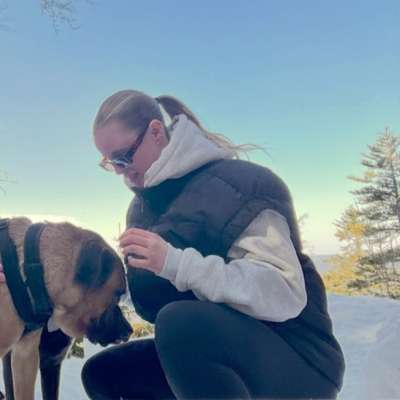 Hundetreffen-Spaziergang um Bekanntschaften zu machen