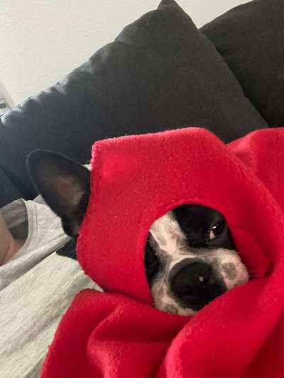 Challenge 21 - wo bin ich : )-Beitrag-Bild