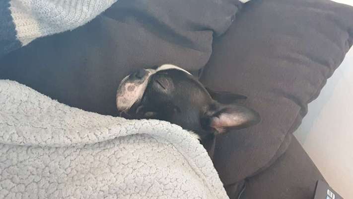 KUSCHEL PARTNER-Beitrag-Bild