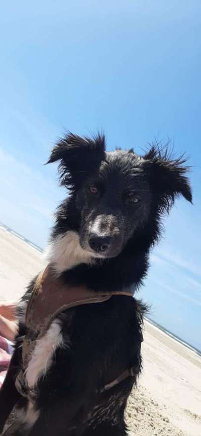 Fotochallange Nr. 57     PORTRÄT.   Beendet!!!!!!!!-Beitrag-Bild