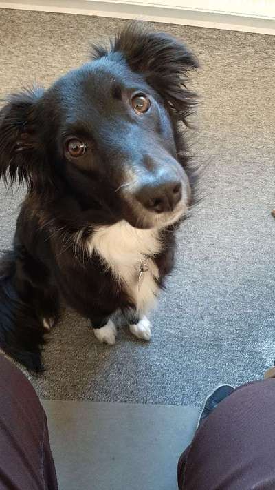 Handy-Foto Challange Nr. 10-Beitrag-Bild