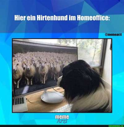 Hier ist der Spaßthread. Zum Schmunzeln und Kaputtlachen-Beitrag-Bild